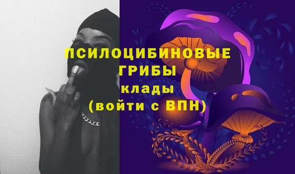 прущие крисы Армянск