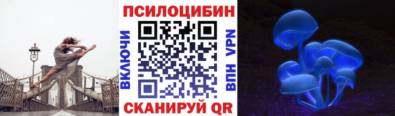Галлюциногенные грибы Psilocybine cubensis даркнет сайт Нурлат