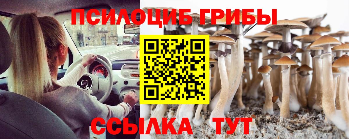 Псилоцибиновые грибы ЛСД Нурлат
