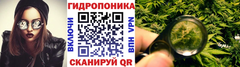 сколько стоит  Нурлат  Бошки Шишки гибрид 